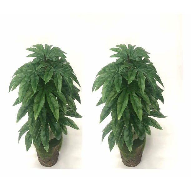 Simulación de una sola planta, placa dorada octogonal, planta verde, planta de pared, decoración de boda, flor artificial, planta verde, simulación de hoja de planta verde, simulación de una sola planta JM