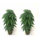 thumbnail image 1 of Simulación de una sola planta, placa dorada octogonal, planta verde, planta de pared, decoración de boda, flor artificial, planta verde, simulación de hoja de planta verde, simulación de una sola planta JM, 1 of 5