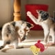 thumbnail image 5 of KAKOWELY 4 juguetes para gatos, ratones y gatos, juguetes interactivos para masticar., 5 of 5