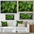 thumbnail image 4 of Designart "Herbal Pottery Delights II" Floral Framed Wall Art Decor - Traditional Green Herbs Hallway Framed Wall Art Decor, 4 of 6