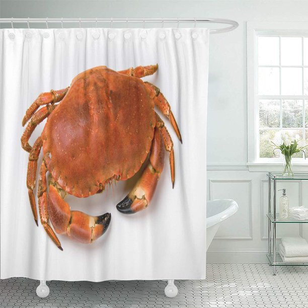 YUSDECOR Boiled Red Claw Prepared Crab on White Cooking Bathroom Decor Bath  Shower Curtain 66x72 inch 