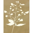 thumbnail image 3 of Jill, Susan 20x24 Black Modern Framed Museum Art Print Titled - Honey Botanical II, 3 of 5