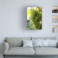 thumbnail image 4 of Canvas Wall Art - DANE 'Food 70' Wall Art for Living Room, Bedroom, or Office Décor by Trademark Fine Art - 30 x 47 Inches, 4 of 4