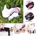 thumbnail image 1 of KALLORY Pet Harness Para Conejos Pequeño Color Rosa Con Correa Elástica Y Acolchado Cómodo, 1 of 8