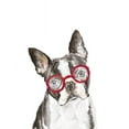 thumbnail image 2 of Pinto, Patricia 26x32 Gold Ornate Wood Framed with Double Matting Museum Art Print Titled - French Bulldog with Glasses, 2 of 4