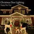 thumbnail image 5 of Lighthouse Deer Family Set Outdoor Christmas Decorations Christmas Lights Reindeer Christmas Decorations Christmas Lights Deer Set for Indoor Outdoor Lawn Decorations, 5 of 5