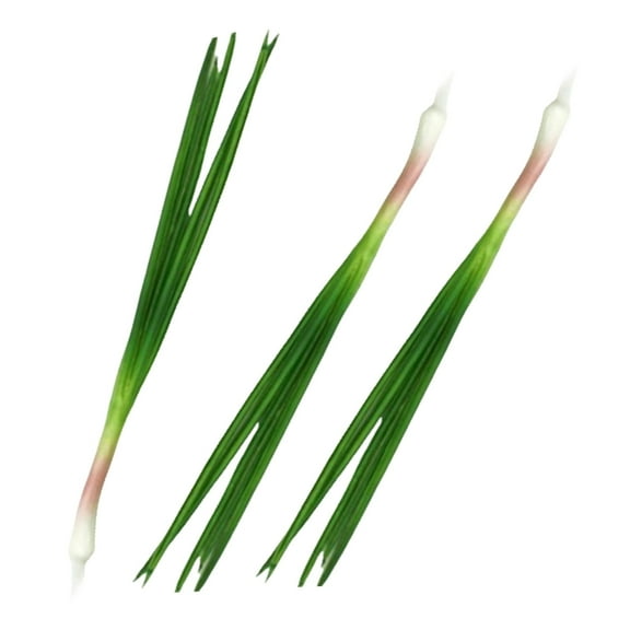 JZROCKER Set Of 3 Artificial Green Scallions Artificial Green Onion Vegetables for Kitchen Home Party Decoration Shop Display