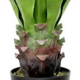 thumbnail image 6 of Northlight Real Touch™️ Green Artificial Agave Succulent Plant In a Black Pot - 30.5", 6 of 9