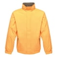 thumbnail image 2 of Regatta Dover Waterproof Windproof Jacket (Thermo-Guard Insulation), 2 of 3