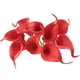 thumbnail image 1 of XWSHYW Flores Artificiales 10 Piezas de Flores Artificiales de Castaña de Agua, Ramo de Flores Artificiales Realmente Manual, 1 of 3