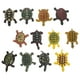 thumbnail image 2 of 24 figuras de tortuga de plástico para acuario, modelo de tortuga, simulación de organismo marino, 2 of 7