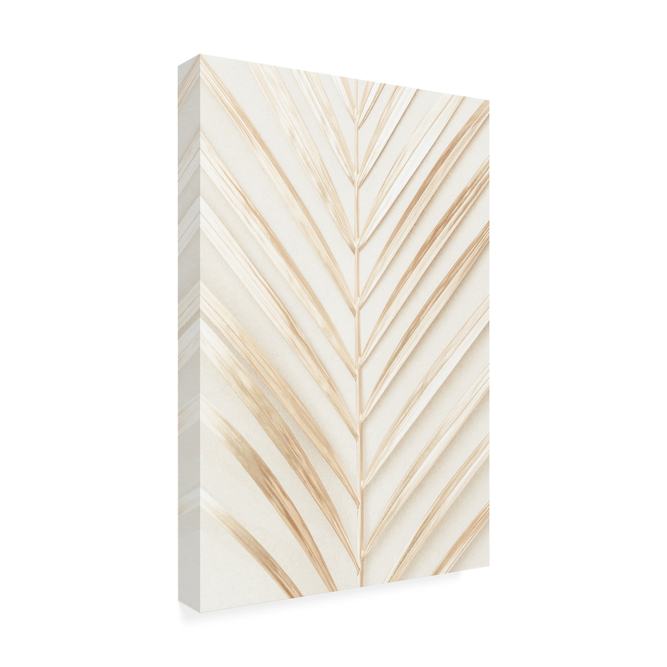 Trademark Fine Art Pictufy Studio Golden Palm Leaf Canvas Wall Art