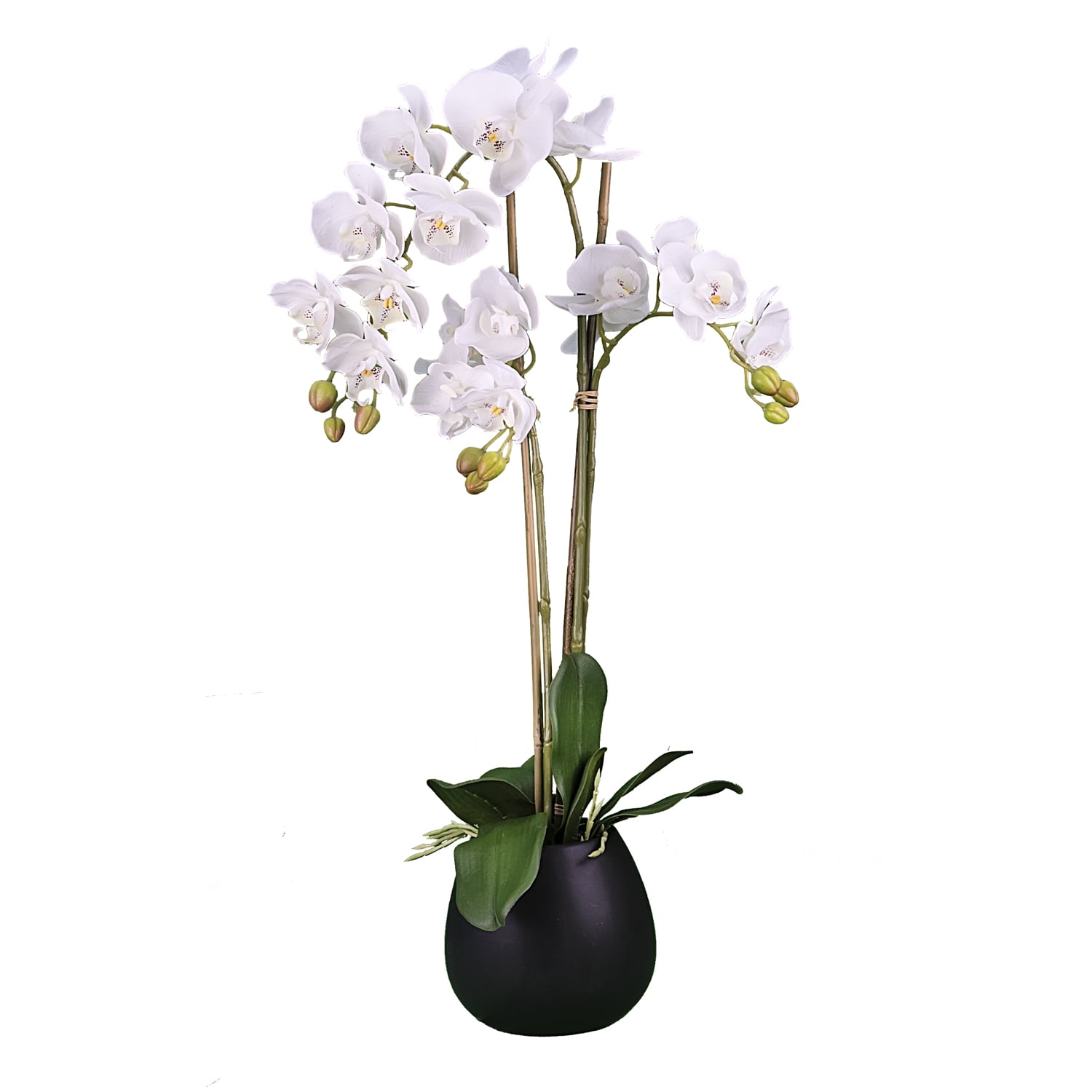 Artificial Plant, 2.67ft Artificial White Orchid in a Black Embossed Ceramic Pot by LCG Florals, Faux Designer Fake Indoor Tree for Living Room, Office, and Home Décor