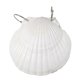 thumbnail image 2 of Cute Seashell Diary Notebook, Shells Textures Sea Ocean Journals for Writing Journal, Portable Loose-leaf Shell Sketchbook, 2 of 5