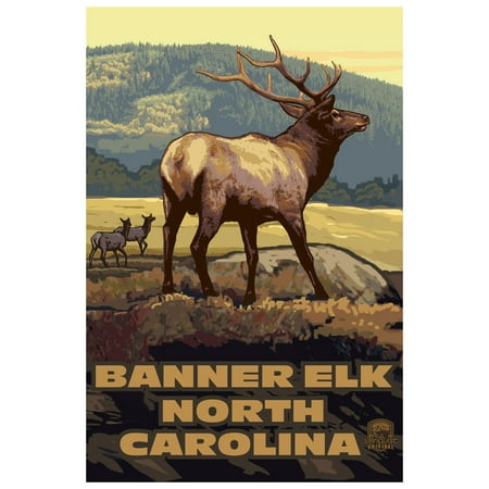 Banner Elk North Carolina Elk Herd Giclee Art Print Poster By Paul