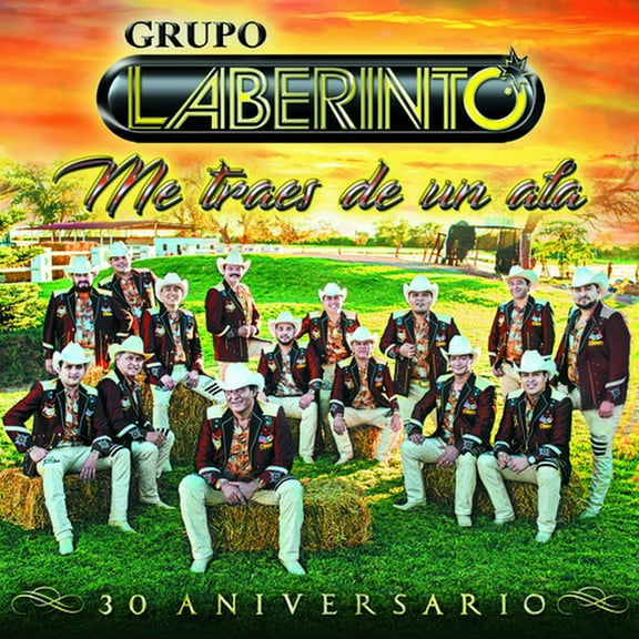 Me Traes De Un Ala (CD)