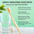 thumbnail image 5 of ELAMIE Coconut Bamboo Charcoal Black Tooth Powder, 5 of 5