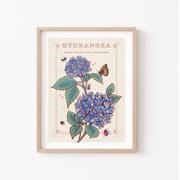 Hydrangea Wall Art Print,Gratitude Flower Illustration Print,Painting Art, Dining Room Wall Decor Ideas, Art Deco Frameless 20x30inch