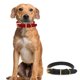 thumbnail image 5 of Collar de perro pesado clásico Collar de perro impermeable a prueba de olores, 5 of 5