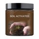 thumbnail image 3 of Activador de Crecimiento para Plantas | Potasio Fúlvico + Inoculante | Estimulante de Enraizamiento | Mejora la Eficiencia de Fertilizantes | Soluble en Agua Rápido | Resistencia al Estrés | 1, 3 of 9