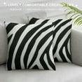 thumbnail image 3 of ARISTURING Black and White Zebra Decorative Short Plush Throw Pillow Cover with Tassels Zebra Animal Print Stripe Pillow Covers Modern Soft Pillowcase for Sofa Couch Living Room Home Decor, 3 of 5