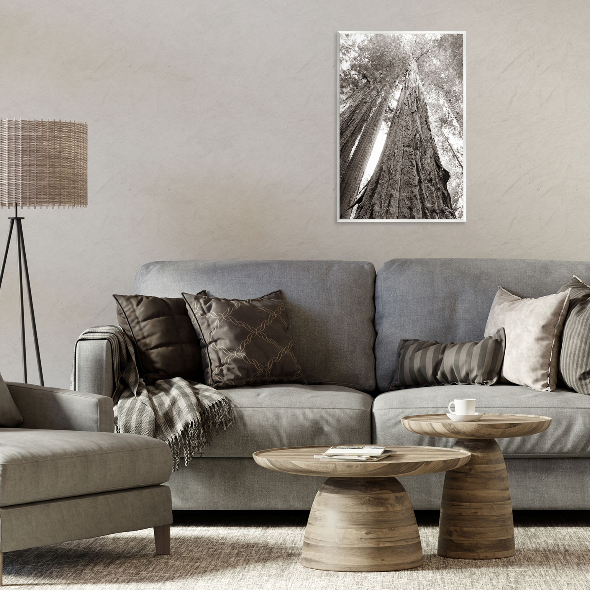 Stupell Industries Ancient Redwood Forest Landscape & Nature Photography Unframed Art Print Wall Art, 13 x 19
