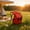 A_Hot#1081, variant on Camping Chair Backpack 2-in-1 Foldable Stool with 10L Storage and Adjustable Straps for Hiking, Fishing, Camping, Picnic, Beach