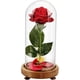 thumbnail image 1 of Artificial Eternal Rose Glass Dome, Beauty and the Beast Rose, Blessing Gift for Wedding, Birthday or Other Holidays, 1 of 5