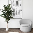 thumbnail image 4 of Ficus altissima, 59.8"H, 4 of 4