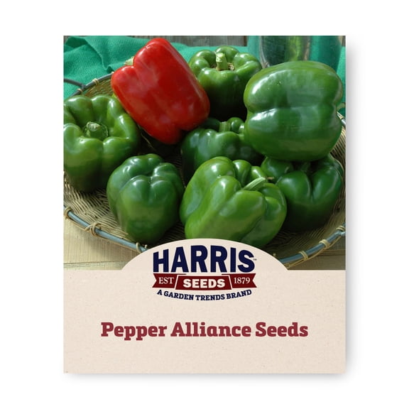 Harris Seeds Alliance F1 Bell Pepper, Large Blocky Green to Red Peppers, Treated, 100 Count