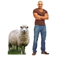 thumbnail image 4 of Cardboard People Sheep Life Size Cardboard Cutout Standup - Made in USA, 4 of 5
