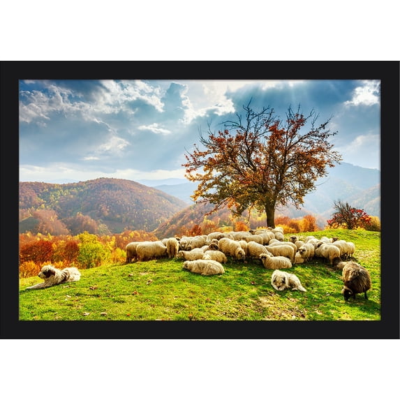 Flock of Sheep on Hillside - Mountains with Fall Tree Colors - Lantern Press Photography (24x16 Giclee Art Print, Gallery Framed, Black Wood)