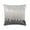 Grey Silver, variant on Cloud9 Design Mira Ivory Navy 22" x 22" Embroidered Velvet Decorative Pillow