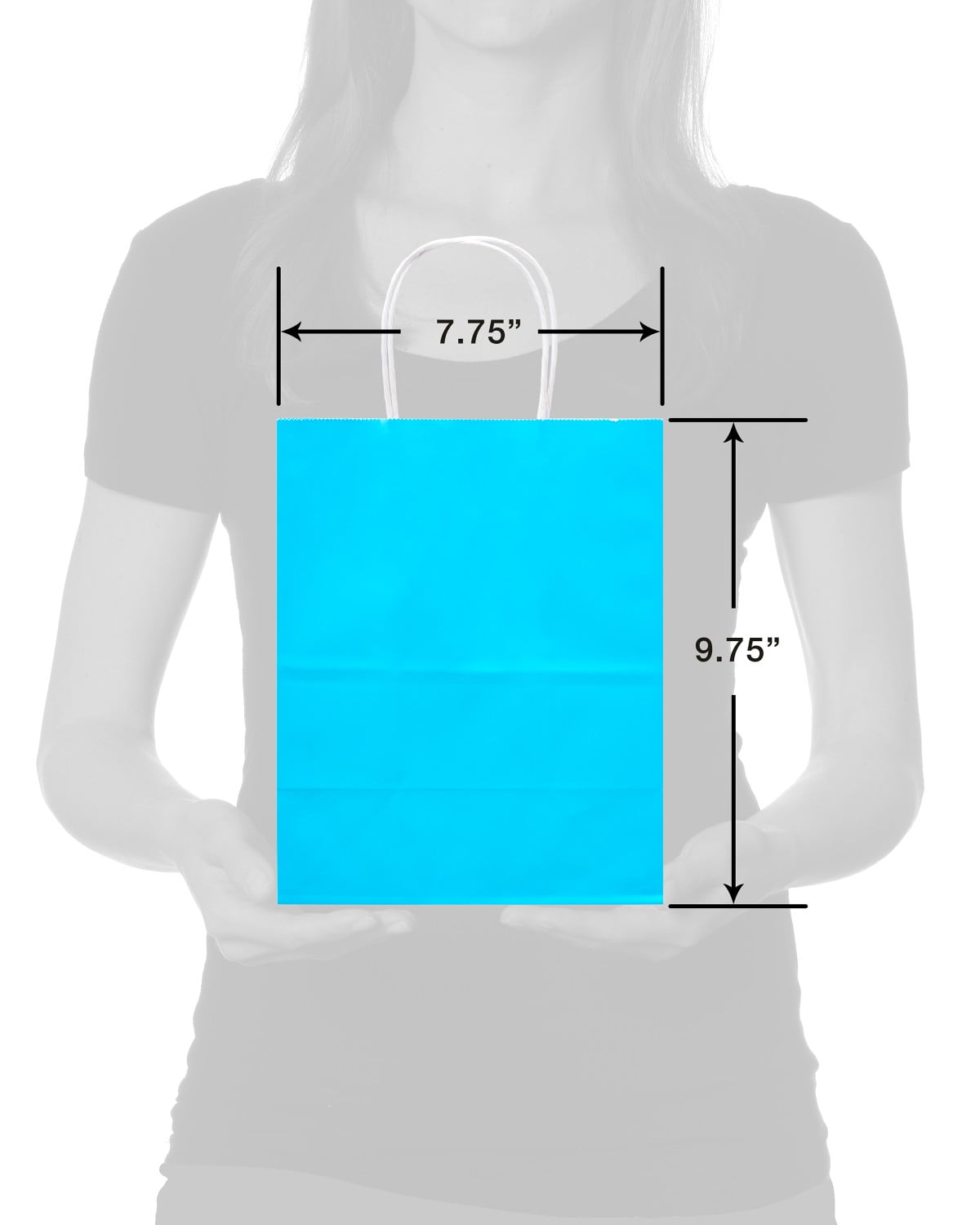 American Greetings 10" Medium Gift Bags, Rainbow Solids (12-Count)