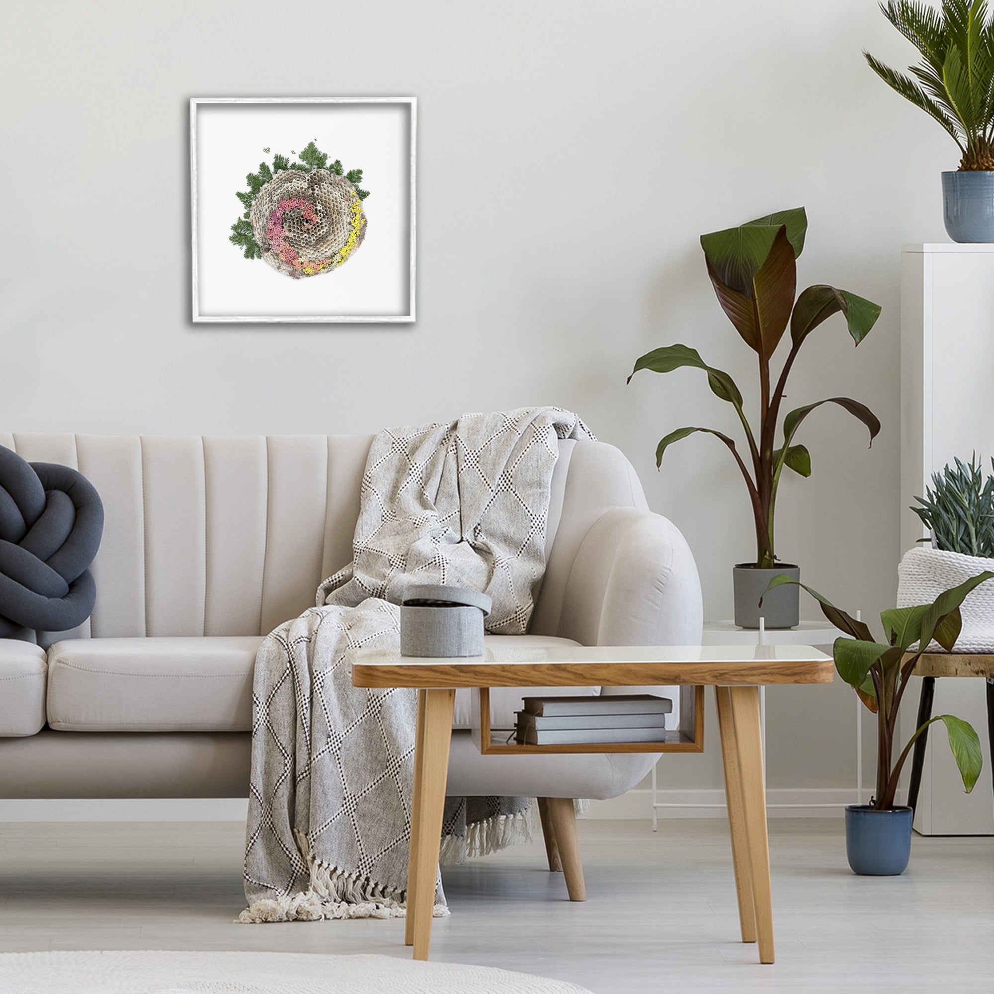 Stupell Industries Honeycomb with Botanicals White Framed Giclee Art, design by Beth Adoette