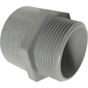Cantex 5140106C 1.25 in. PVC Male Terminal Adapter