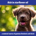 thumbnail image 5 of Exmarid Dry Skin Supplement Cat and Dog Health 150ml Case of 3, 5 of 6
