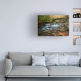 thumbnail image 3 of Pierre Leclerc Photography 'Great Smoky Mountain River' Canvas Art, 3 of 4