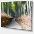 thumbnail image 2 of Straight Path in Bamboo Forest, 2 of 3