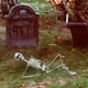 thumbnail image 3 of Esqueleto de Halloween Prop Humano Tamaño completo Cráneo Mano Vida Cuerpo Anatomía Modelo Decoración Meser  JFHKJSHJK1446, 3 of 9
