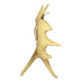 thumbnail image 4 of Rustic Western Emperor Moose Antlers With Buck Deer Stag Faux Wood Figurine, 4 of 6