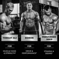 thumbnail image 2 of Testosterone Booster for Men with Tongkat Ali, Boron and Fenugreek, 60 Gummies, 2 of 10