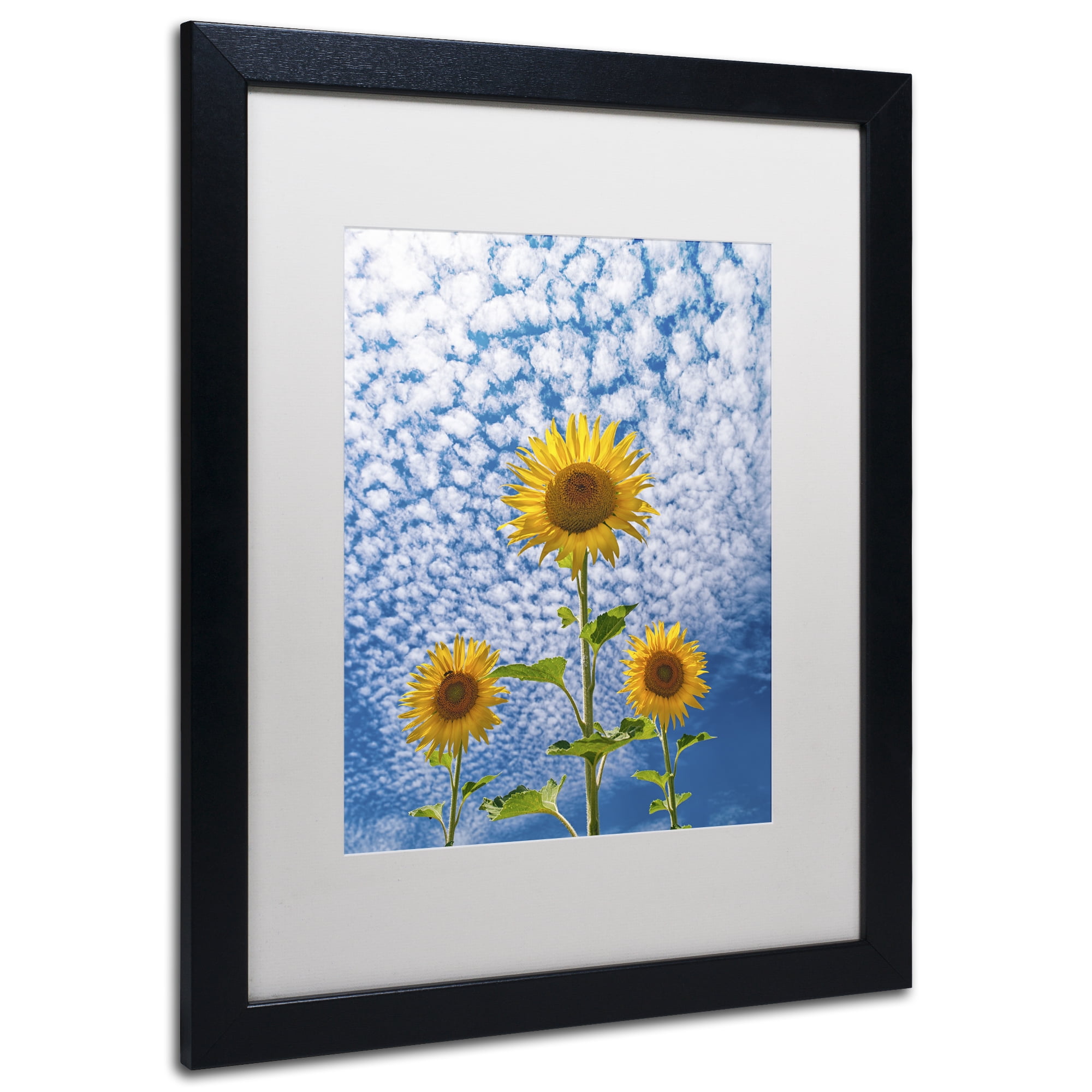 Trademark Fine Art 'Sunflower Triad' Black Framed Art by Michael Blanchette Photography