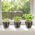 thumbnail image 4 of Clear Plastic Nursery Pot 7in with Drainage Holes Transparent Seedling Cup for Garden Yard Plant Growing, 4 of 7