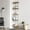 White Oud, variant on Alice 71" 5-Shelf Corner Bookcase, Black Oud