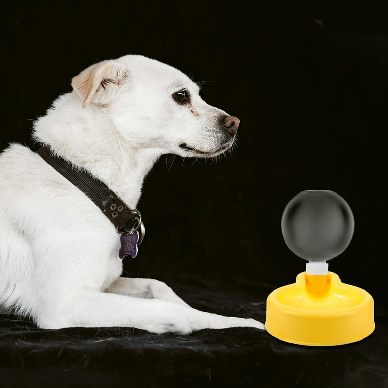 Dog Water Cup Waterbottle Portable Kettle Pet Travel Hydration Small Container Puppy Dispenser Outdoor Walmart