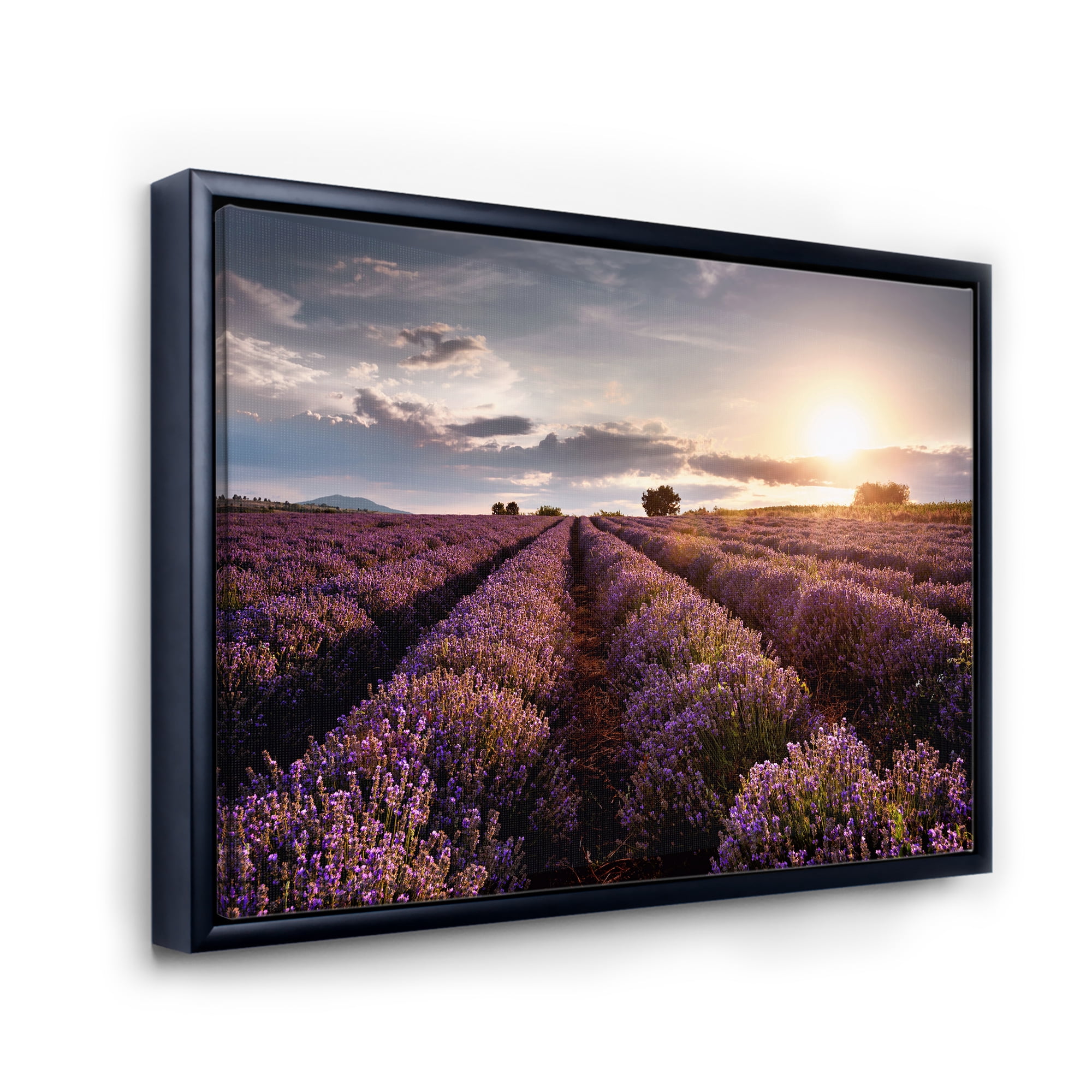 Designart 'Dramatic Clouds and Sunrise Over Lavender Field V' Farmhouse Framed Canvas Wall Art Print