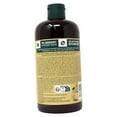 thumbnail image 2 of The Body Shop Anti-Dandruff Ginger Shampoo 13.5 Ounces, 2 of 2