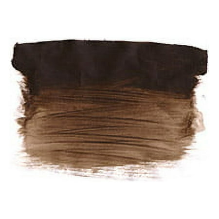 UPC: 0092200014055 | Chromacryl Premium Students Acrylic Paint  Half Gallon  Burnt Umber