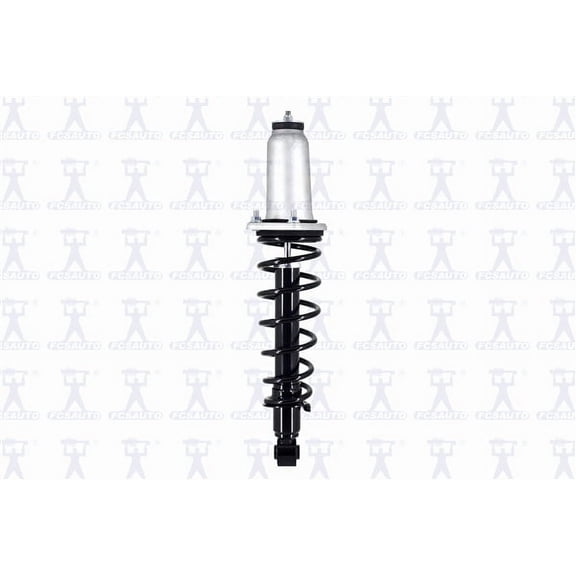 Suspension Strut and Coil Spring Assembly